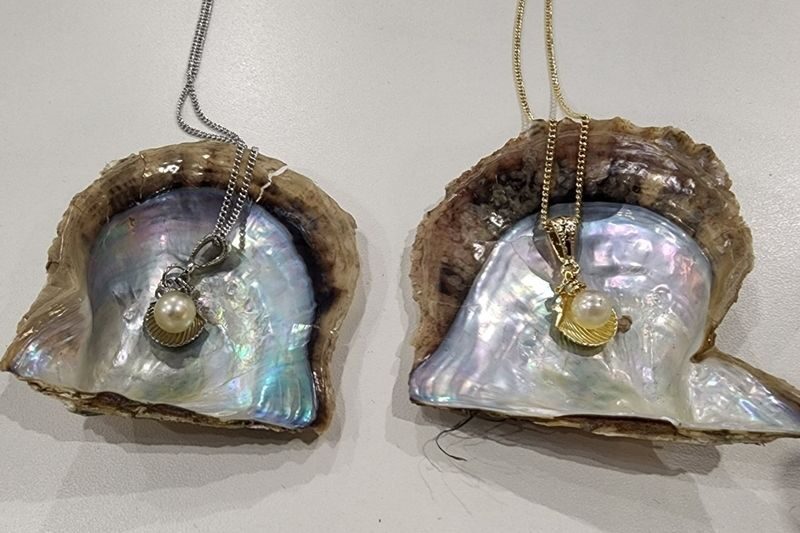 Akoya Pearl Harvesting Experience (Osaka) - The pearl is yours, the setting costs extra