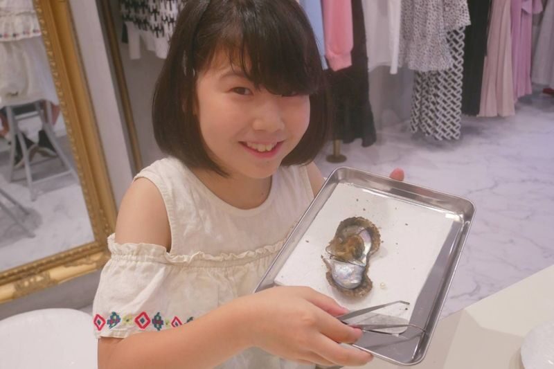 Akoya Pearl Harvesting Experience (Osaka) - Should you book it?