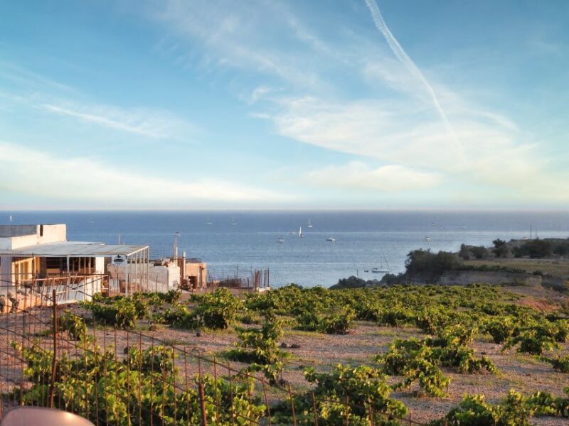 Akrotiri: Guided Horseback Riding Day Trip to a Beach - FAQs