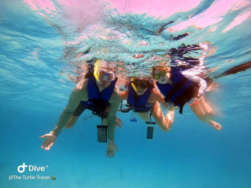 Akumal Beach: Ecologic Turtle Snorkeling Tour & Gopro Photos - Key Points