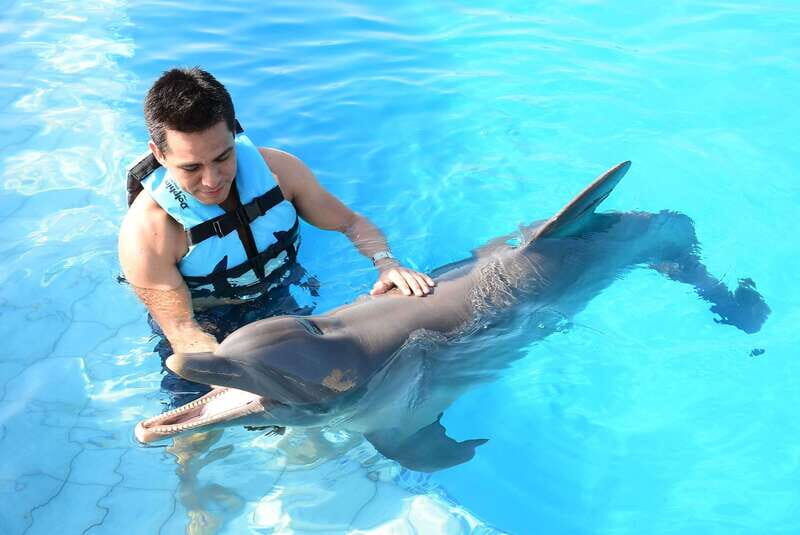 Akumal: Dolphin Encounter - The Itinerary Explained