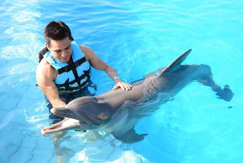 Akumal: Dolphin Encounter - Who Will Enjoy This Tour Most?