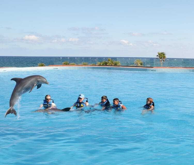 Akumal: Dolphin Encounter - Final Thoughts