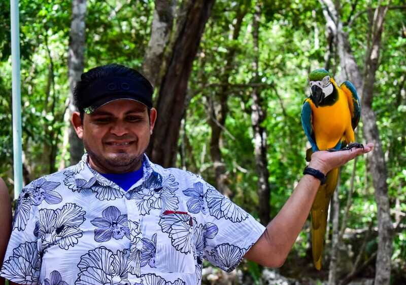 Akumal: Explore the Monkey Sanctuary, ATV Circuit and Cenote - Exploring Akumal: Monkey Sanctuary, ATV Circuit, and Cenote Adventure