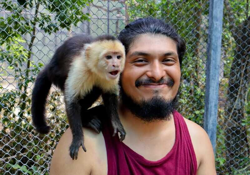 Akumal: Explore the Monkey Sanctuary, ATV Circuit and Cenote - Why This Tour Offers Great Value
