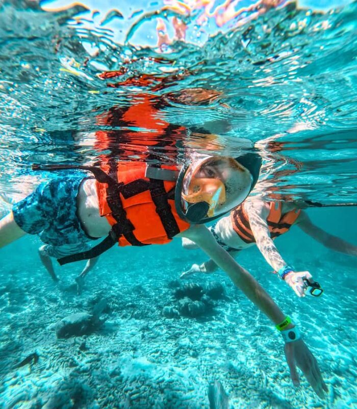 Akumal: Sea Turtles Snorkeling Tour with Park Entry Fee - Key Points