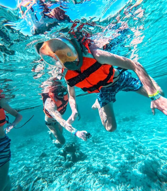 Akumal: Sea Turtles Snorkeling Tour with Park Entry Fee - FAQs