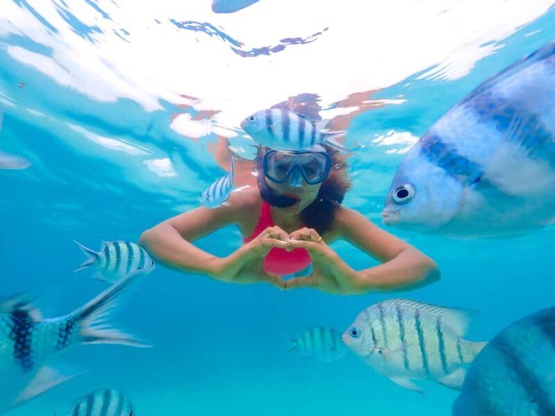 Akumal: Snorkeling Adventure with Turtles and Marine Life - Who Will Love This Experience?