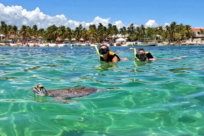 Akumal; Snorkeling and Photos with Turtles - An In-Depth Look at the Akumal Snorkeling with Turtles Tour