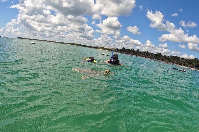 Akumal; Snorkeling with The Sea Turtles - Exploring Akumal: Snorkeling with The Sea Turtles