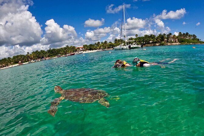 Akumal; Snorkeling with The Sea Turtles - The Sum Up