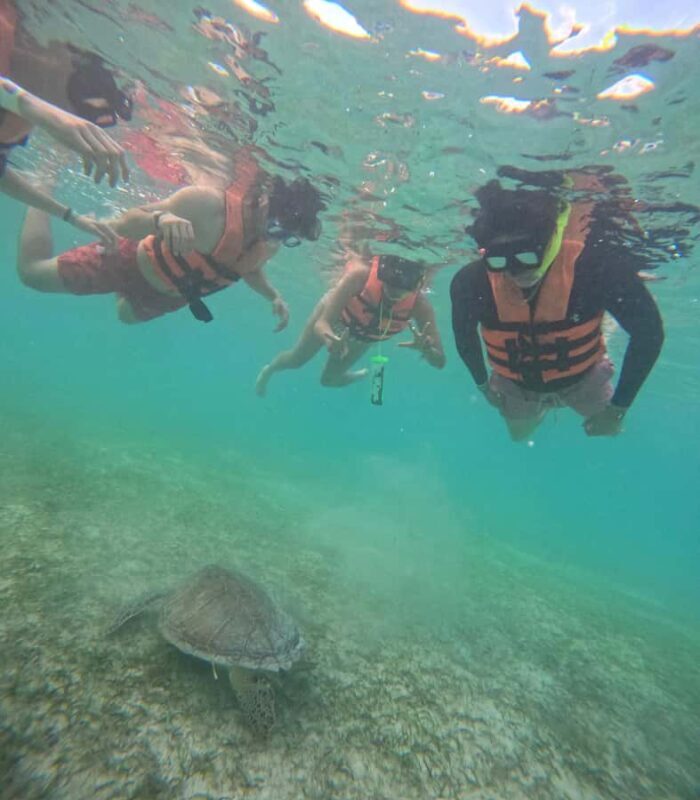 Akumal: Swim in Yalkuito and a cenote water outlet + Snorkel with turtles - An In-Depth Look at the Tour Experience