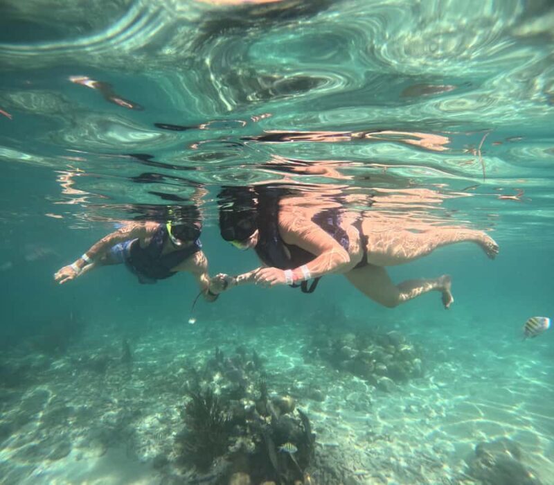 Akumal: Swim with sea turtles and coral reefs. - Key Points