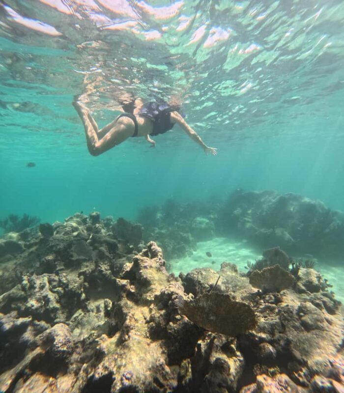 Akumal: Swim with sea turtles and coral reefs. - Detailed Review of the Akumal Turtle Snorkeling Tour