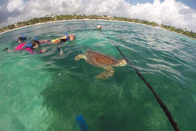 Akumal turtles sanctuary and go pro photos - FAQs