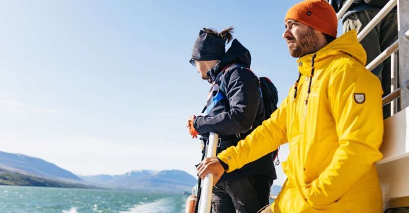 Akureyri: 3-Hour Classic Whale Watching Tour by Ship - A Deep Dive Into the Experience