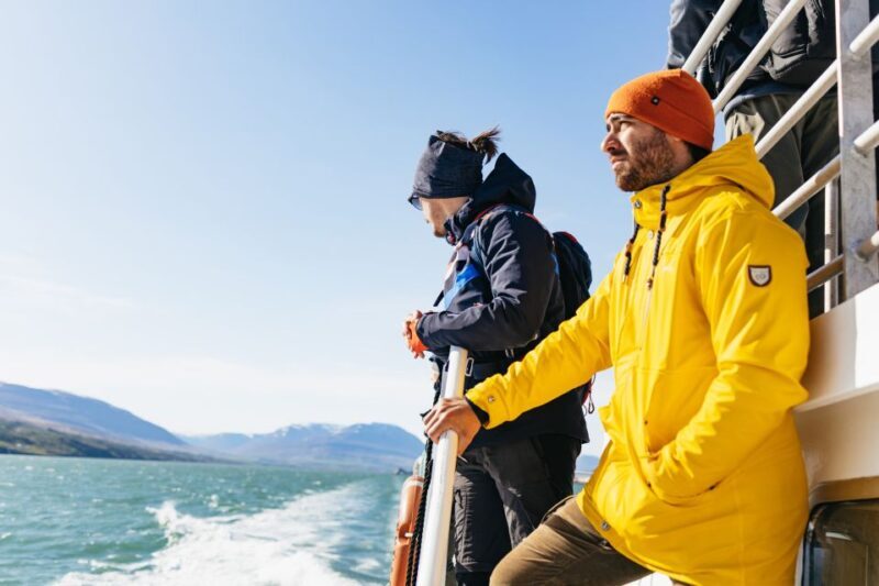 Akureyri: 3-Hour Classic Whale Watching Tour by Ship - The Sum Up