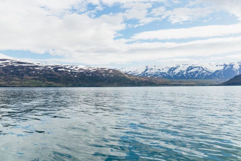 Akureyri: 3-Hour Classic Whale Watching Tour by Ship - FAQs