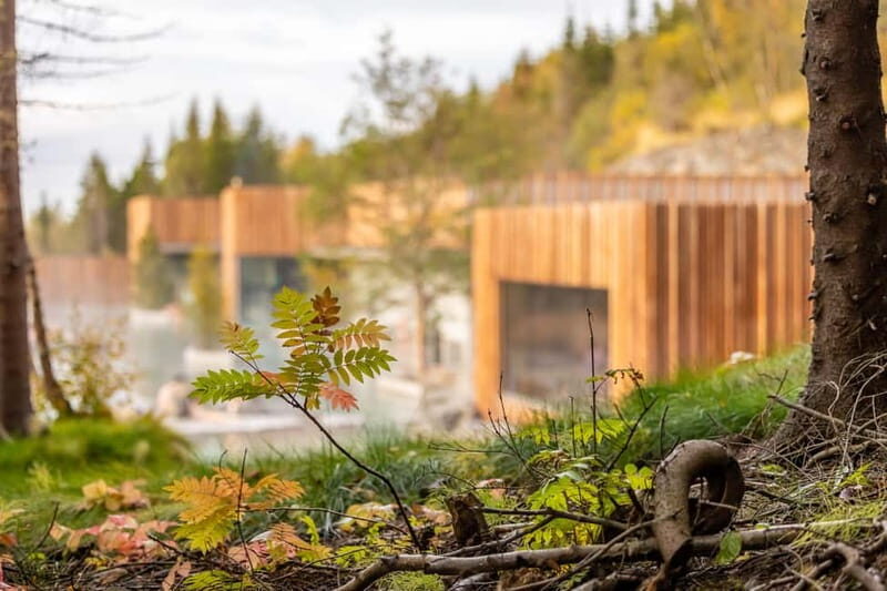 Akureyri: Admission to Forest Lagoon - Key Points