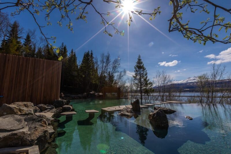 Akureyri: Forest Lagoon & Northern Lights Tour - Who Should Consider This Tour?