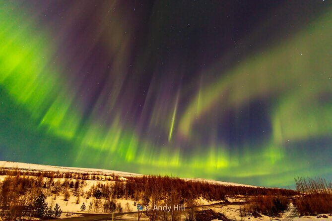 Akureyri Northern Light Tour - A Closer Look at the Akureyri Northern Light Tour