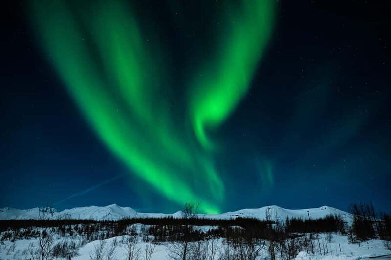Akureyri: Northern Lights Hunt with Forest Lagoon Entry - Pricing and Value