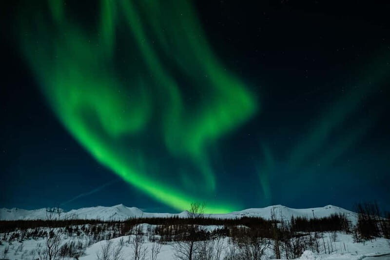 Akureyri: Northern Lights Hunt with Forest Lagoon Entry - The Sum Up
