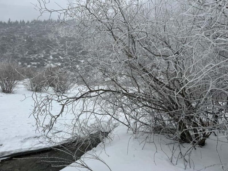 Ala Archa National Park & Chunkurchak Valley Day Tour - Final Thoughts