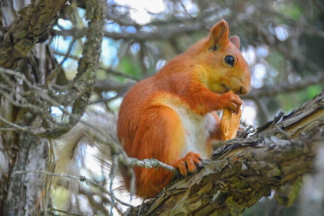 Ala Archa National Park: Scenic Small-Group Tour - A Closer Look at the Itinerary