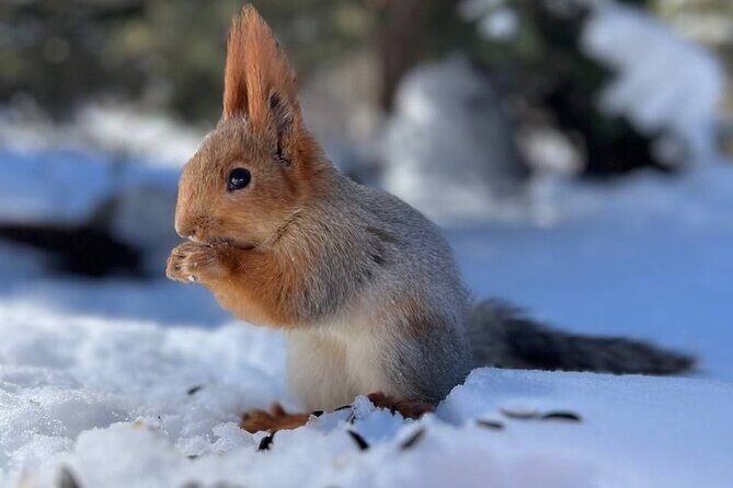 Ala Archa Nature Park Essential Tour - Exploring the Ala Archa Nature Park Essential Tour