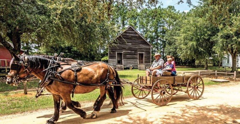 Alabama: Dothan-Eufaula Area Multi-Attraction Pass - Exploring the Attractions: A Deep Dive