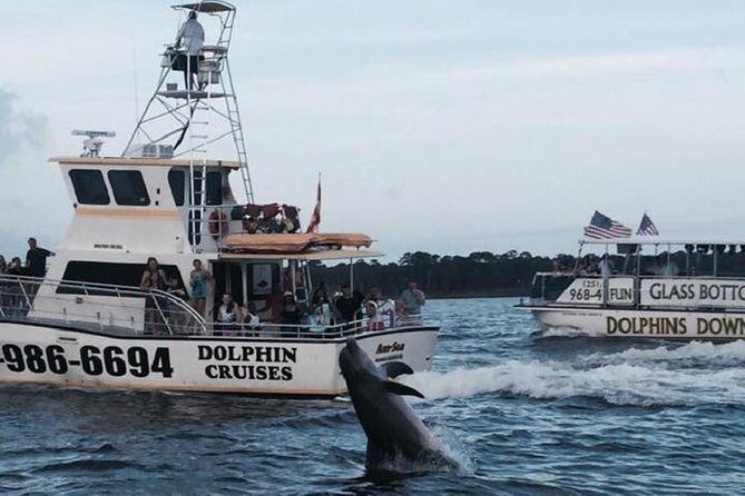 Alabama Gulf Coast Dolphin Cruise - Explore the Alabama Gulf Coast Dolphin Cruise: A Practical and Authentic Review
