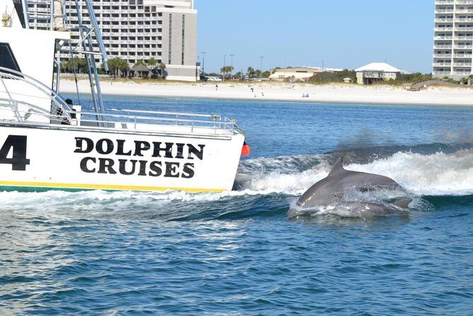 Alabama Gulf Coast Dolphin Cruise - FAQ