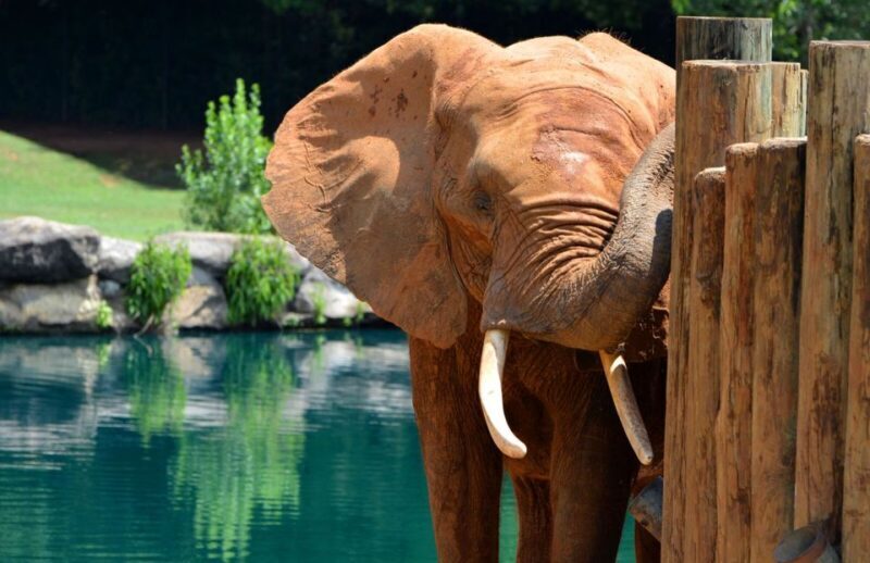 Alabama: Montgomery/Selma Area Multi-Attraction Pass - Nature, Wine, and Relaxation