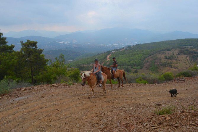 Alanya 3 Hour Horse Back Riding - Exploring the Turkish Riviera on Horseback: A Detailed Look at the Alanya 3 Hour Horse Back Riding Tour