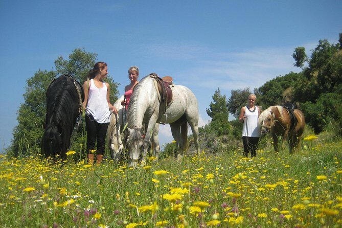 Alanya 3 Hour Horse Back Riding - Who This Tour Is Perfect For