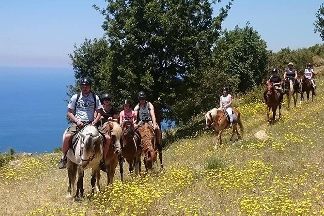 Alanya 3 Hour Horse Back Riding - The Sum Up: Is It Worth It?