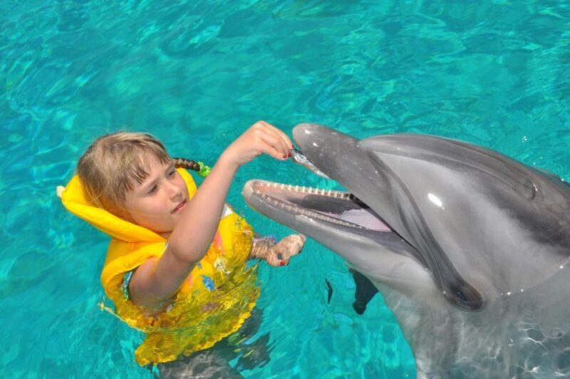 Alanya: Dolphin and Seal Show Ticket with Hotel Transfers - FAQ