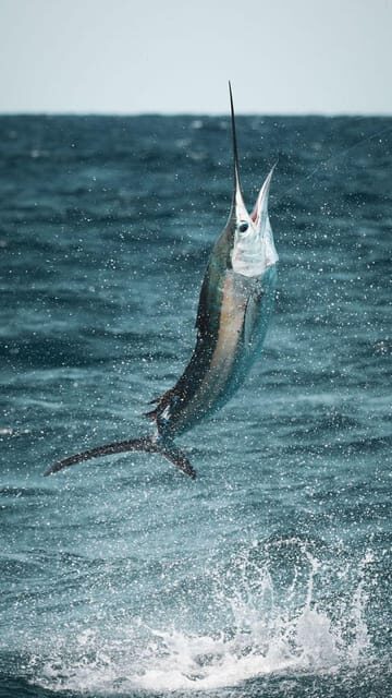 Alanya: Fishing Tour with Equipment and Lunch - Authenticity and Value