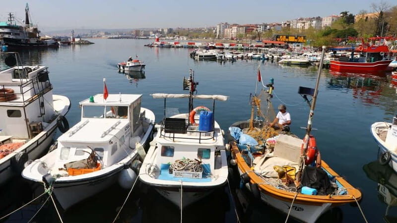 Alanya: Fishing Tour with Lunch and Hotel Transfers - Key Points