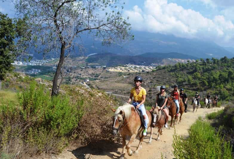 Alanya: Horse Riding Club Transfer Service - An In-Depth Look at the Horse Riding Experience