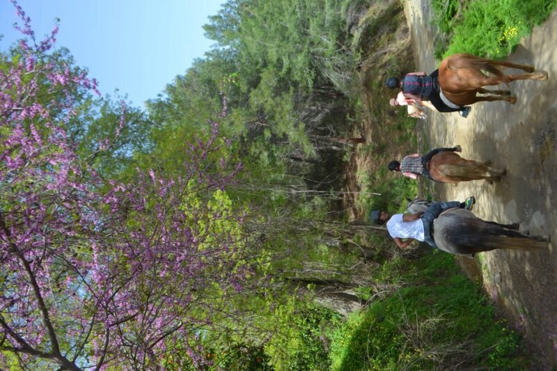 Alanya: Horse Riding Club Transfer Service - FAQs