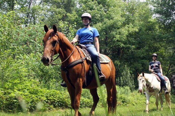 Alanya Horse Riding Experience With Free Hotel Transfer - Who Will Love This Tour?