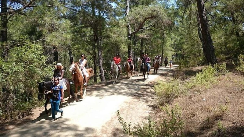 Alanya: Horseback Ride Through Nature near Syedra Ruins - Alanya: Horseback Ride Through Nature near Syedra Ruins