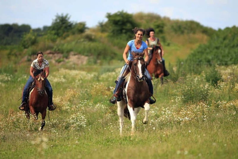 Alanya: Horseback Ride Through Nature near Syedra Ruins - The Experience: A Deep Dive