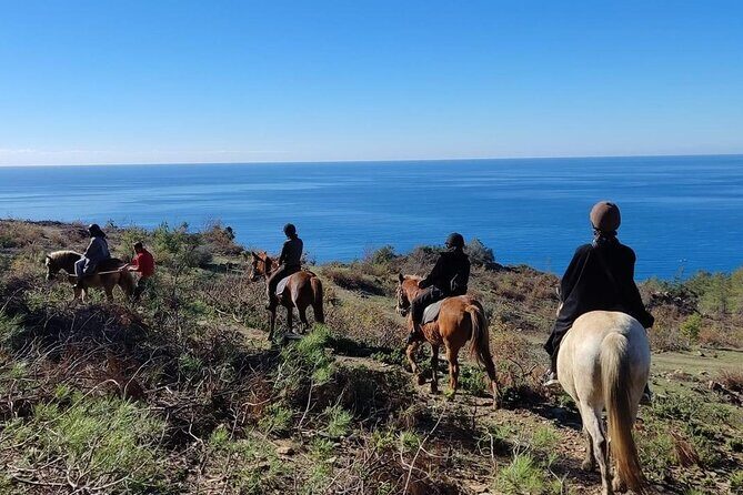 Alanya Horseback Riding in the Taurus Mountains with Transfer - A Thorough Breakdown of the Itinerary