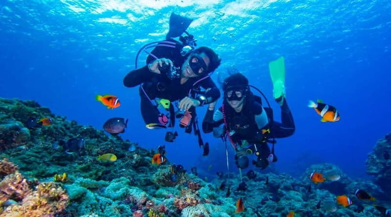Alanya: Scuba Diving Adventure for Beginners & Professionals - Key Points