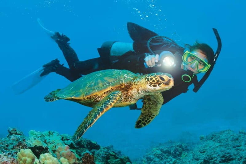 Alanya: Scuba Diving Adventure for Beginners & Professionals - A Practical Look at the Alanya Scuba Diving Tour