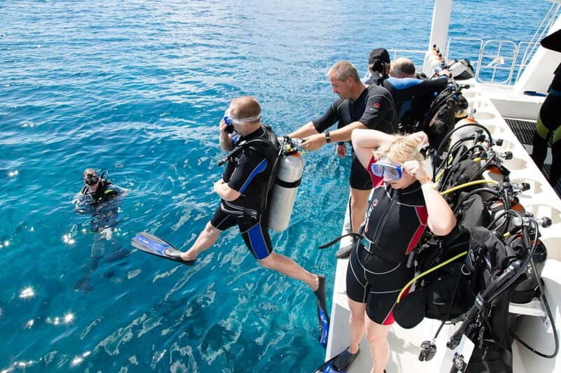 Alanya: Scuba Diving Adventure for Beginners & Professionals - The Sum Up: Who Is This Tour Best For?