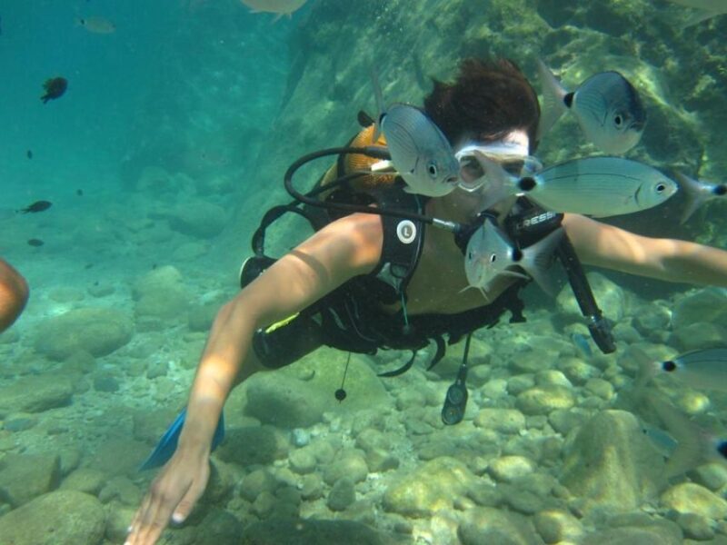 Alanya: Scuba Diving Experience with Lunch - Exploring the Turkish Riviera Underwater on a Day of Scuba Diving with Lunch